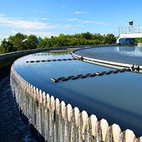 Биопрепараты