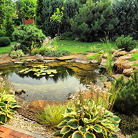 Биопрепараты