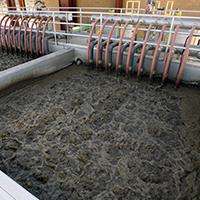 Биопрепараты