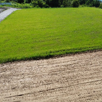 Биопрепараты