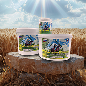 Илья Муромец