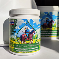 Илья Муромец