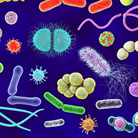 Биопрепараты