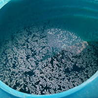 Биопрепараты