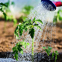 Биопрепараты